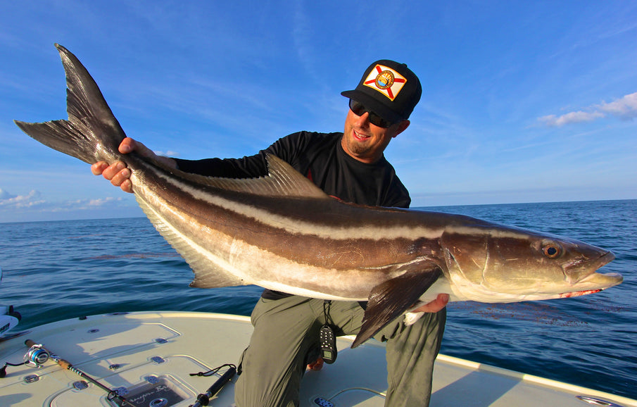 There's More Than One Way to Catch a Cobia